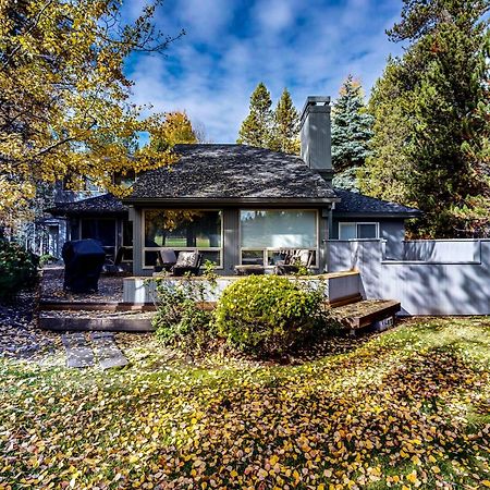 Tree Branch Cabin صنريفير المظهر الخارجي الصورة