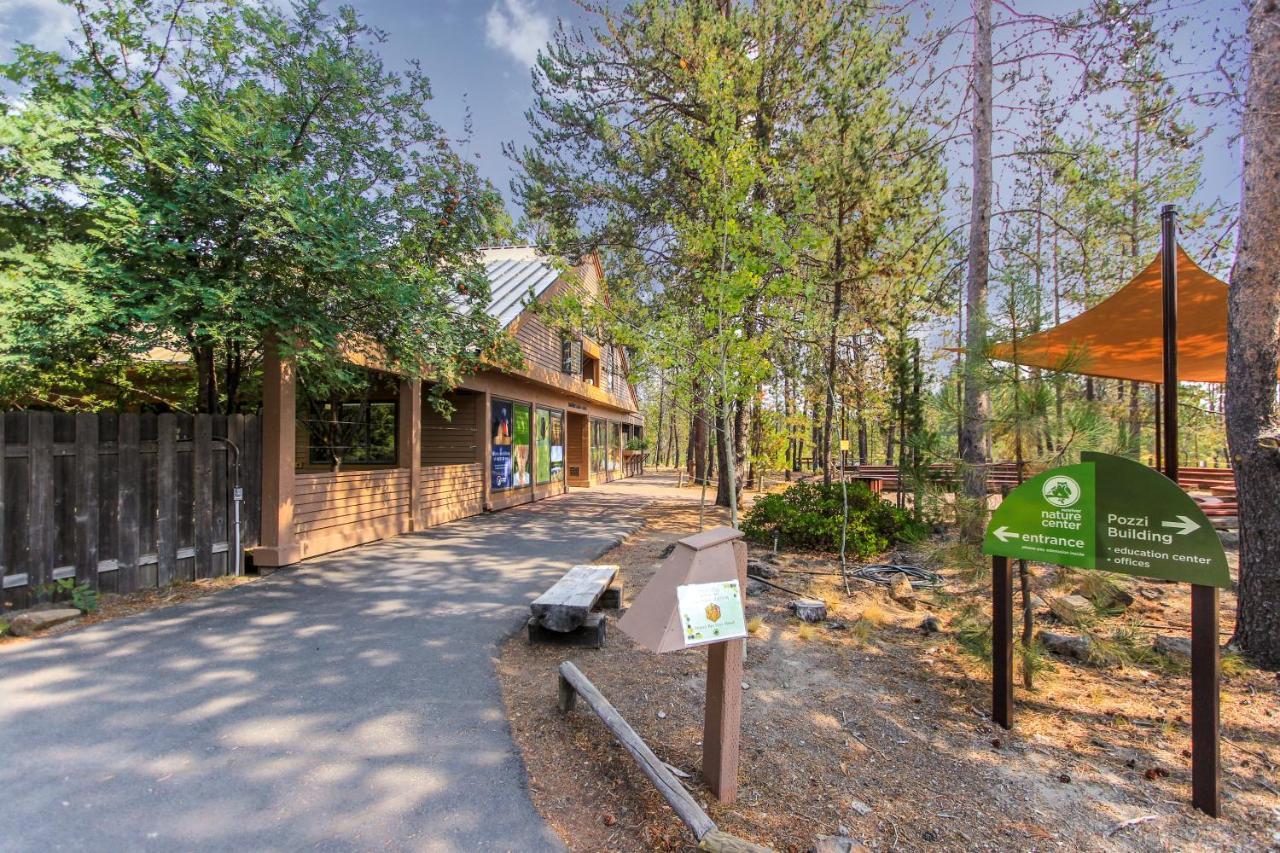 Tree Branch Cabin صنريفير المظهر الخارجي الصورة