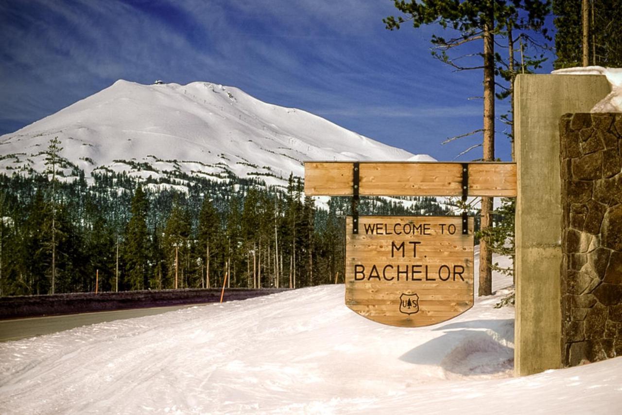 Tree Branch Cabin صنريفير المظهر الخارجي الصورة